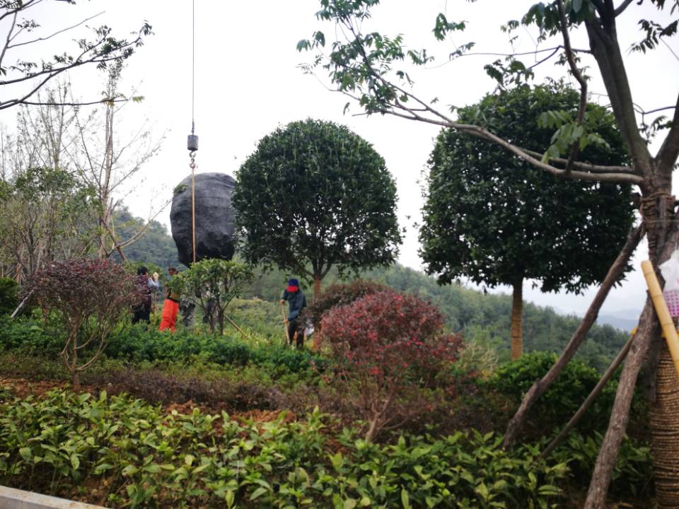 园林绿化